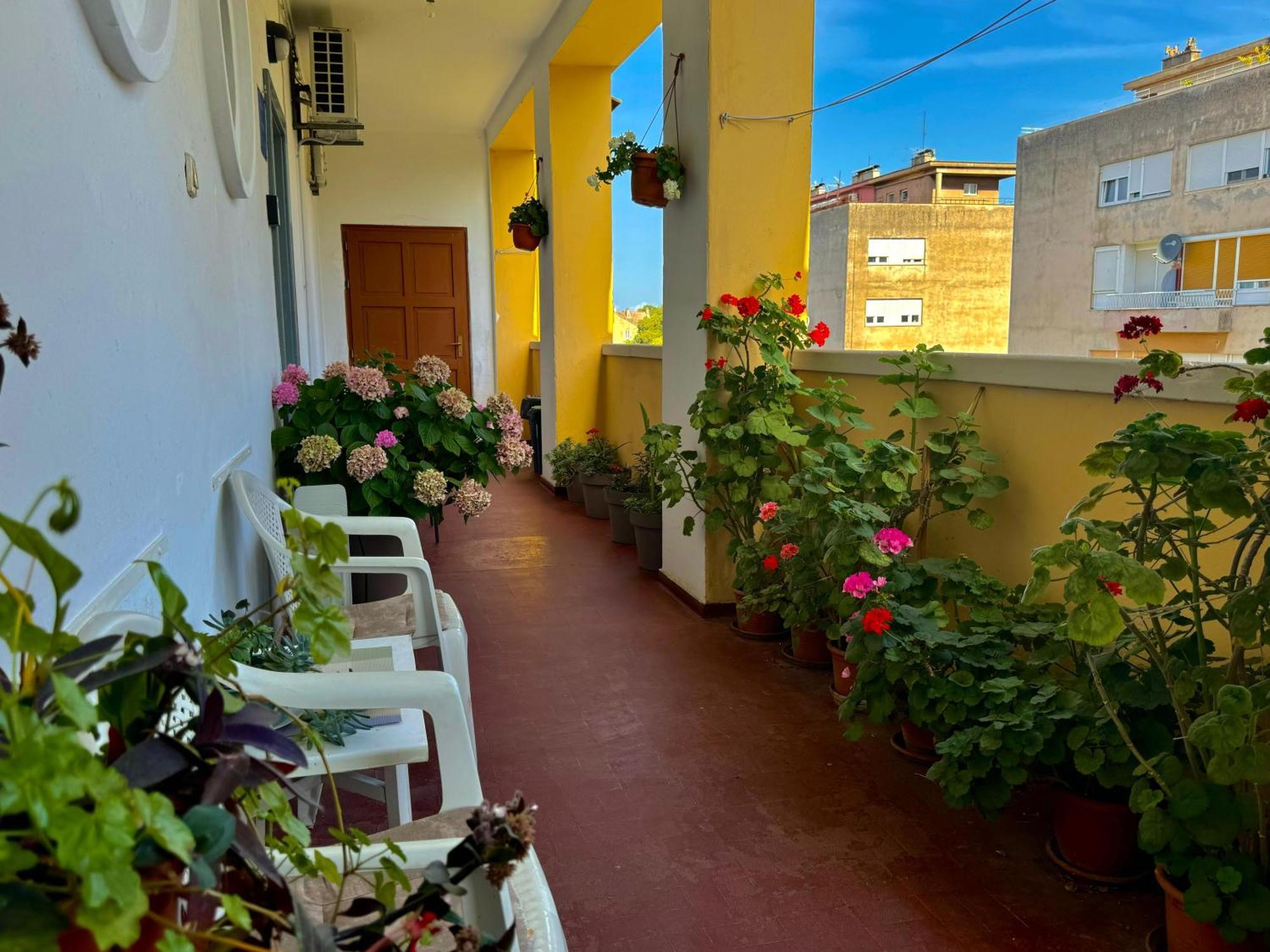 Populare Apartment *