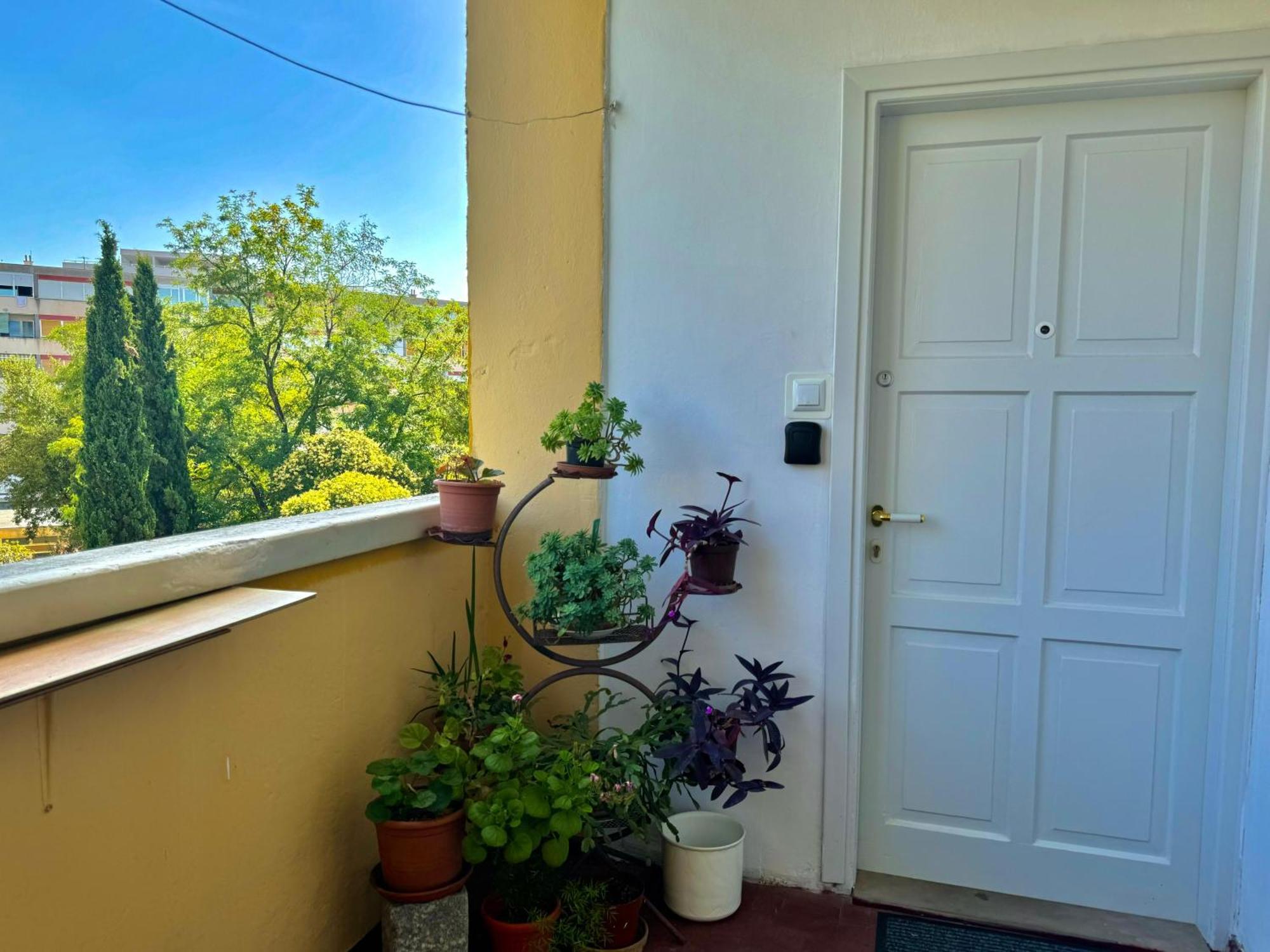 Populare Apartment *